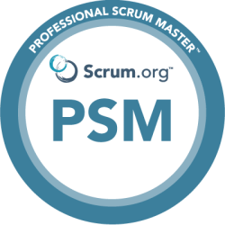 professional scrum master
